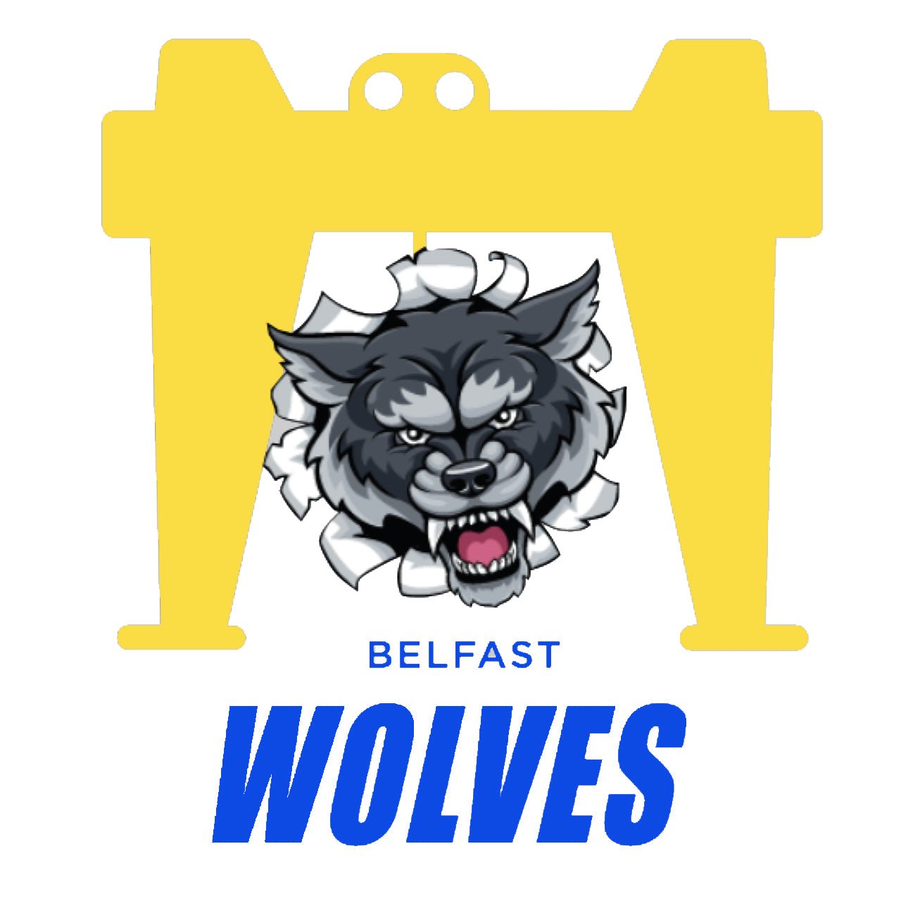 Belfast Wolves - Stash Shop