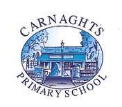 Carnaghts PS - Stash Shop