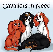 Cavaliers in Need NI - Stash Shop