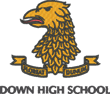 Down High School Leavers 26 - Stash Shop