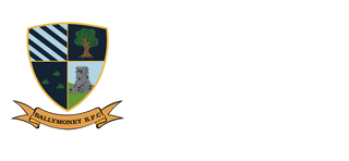 Ballymoney RFC logo