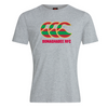 Donaghadee Rugby Club - Plain Tee - Grey