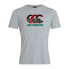 Holywood Rugby Club - Uglies Tee - Grey