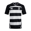 Old Belvedere Rugby Club - Hooped Training Jersey