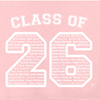Ballyclare Secondary School Leavers 2026 - Premium Hoody - Baby Pink - Stash Inc. - Stash Shop