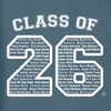 Ballyclare Secondary School Leavers 2026 - Premium Hoody - Ocean Blue - Stash Inc. - Stash Shop