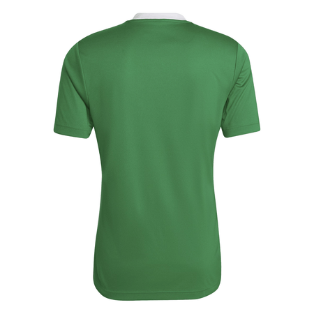 Ballynahinch Rugby Club - Core Poly Tee - Green - adidas - Stash Shop