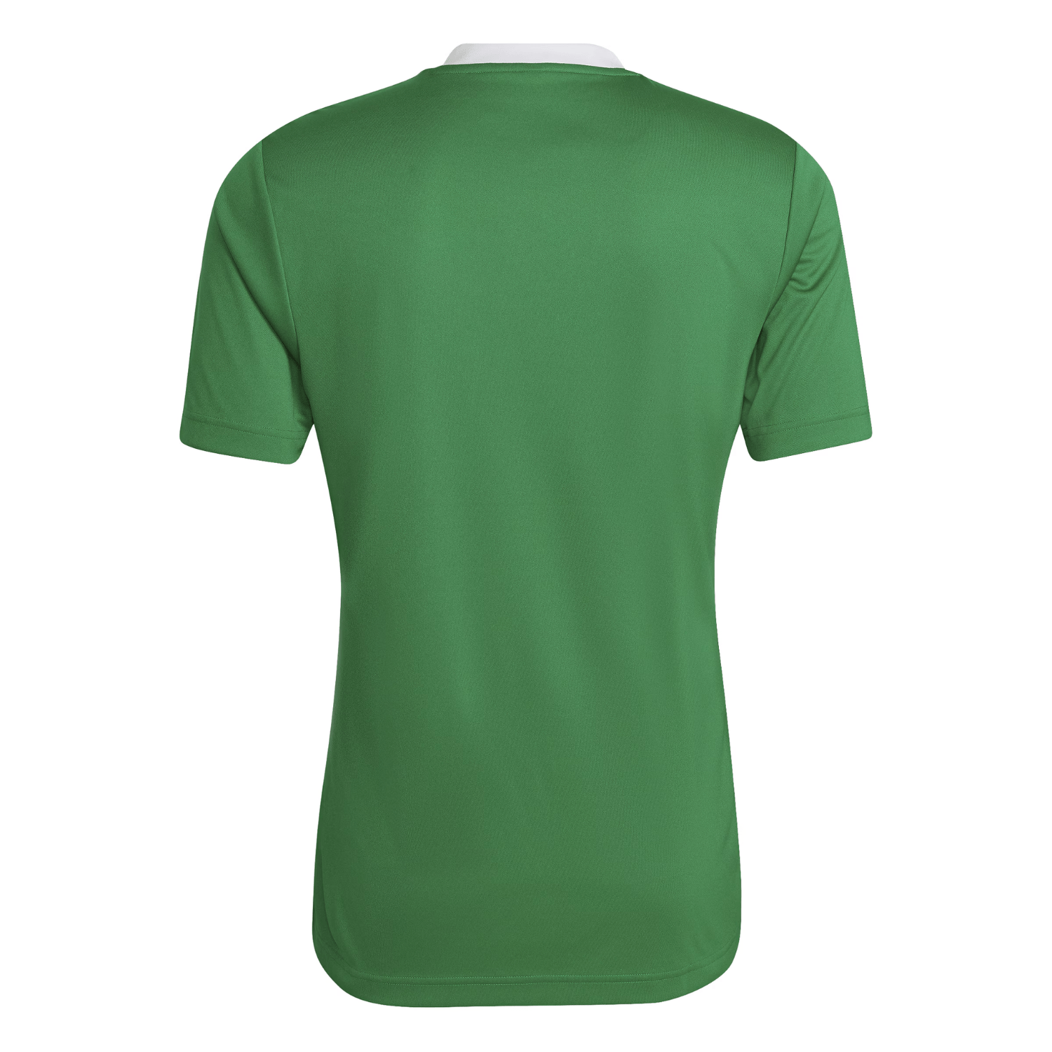 Ballynahinch Rugby Club - Core Poly Tee - Green - adidas - Stash Shop