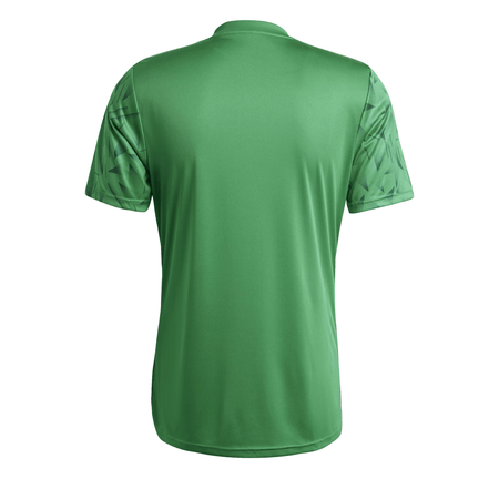 Ballynahinch Rugby Club - Icon Tee - Green - adidas - Stash Shop
