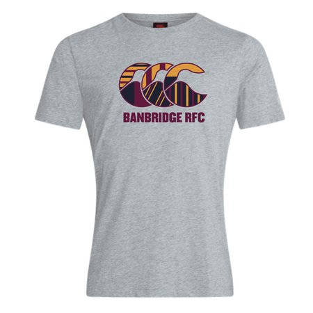 Banbridge Rugby Club - Uglies Tee - Grey -Canterbury- Stash Shop