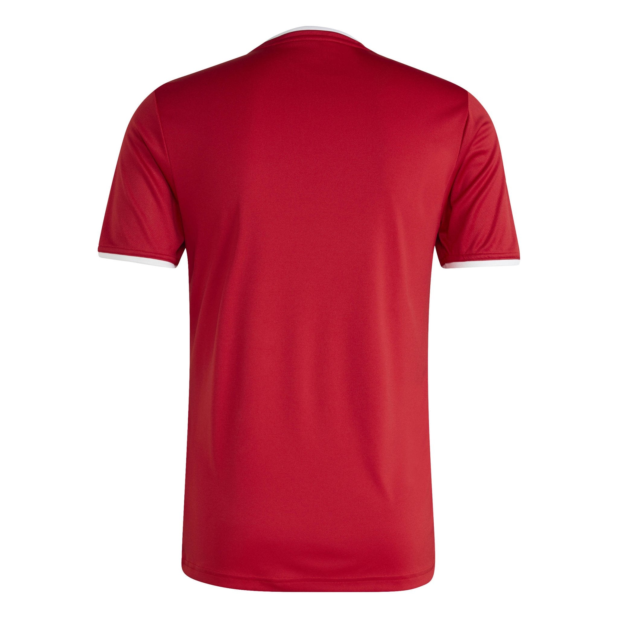 Belfast Harlequins Ladies Hockey Club - Core SS Shirt - Red -adidas- Stash Shop