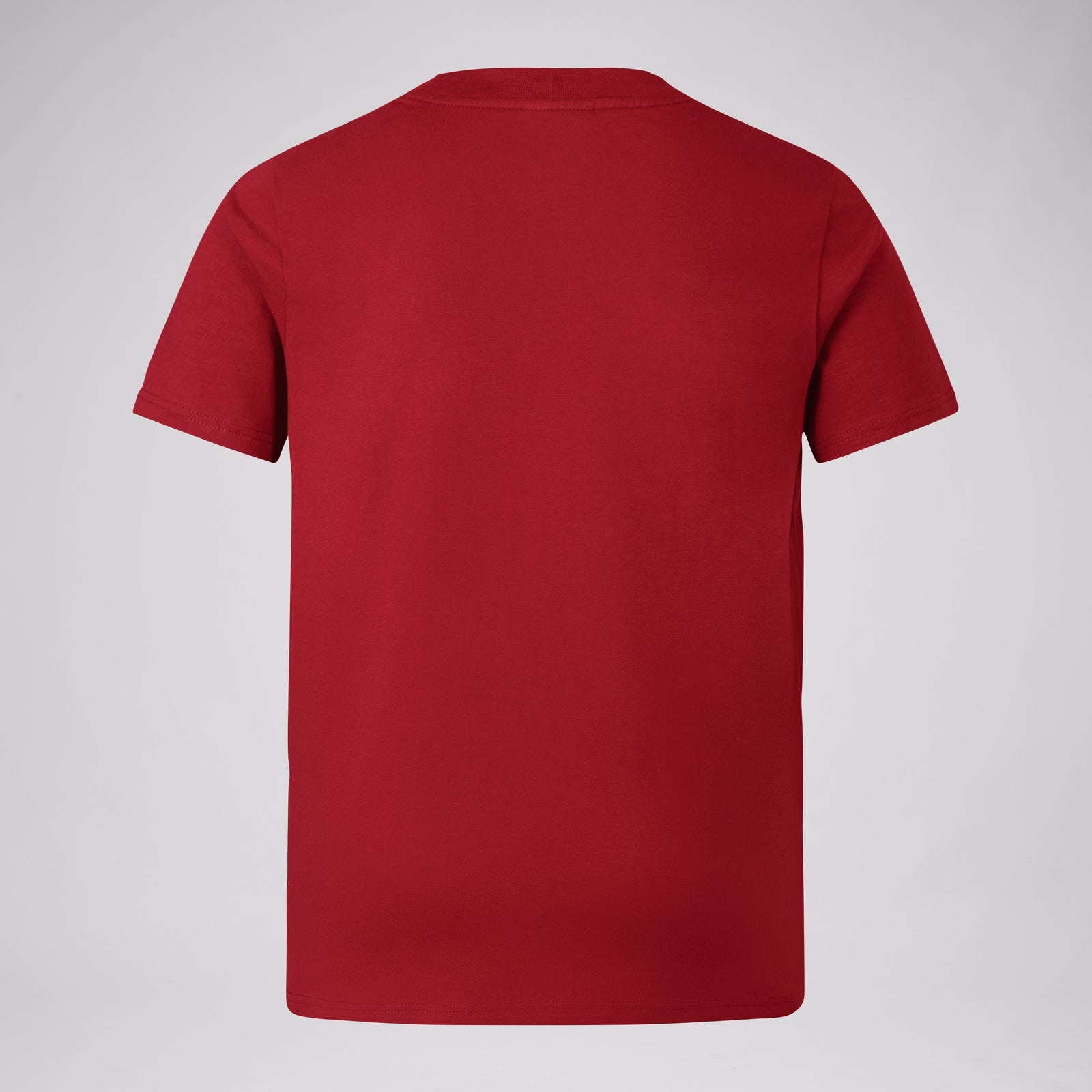 British & Irish Lions - Cotton Tee - Juniors - Red - Canterbury - Stash Shop