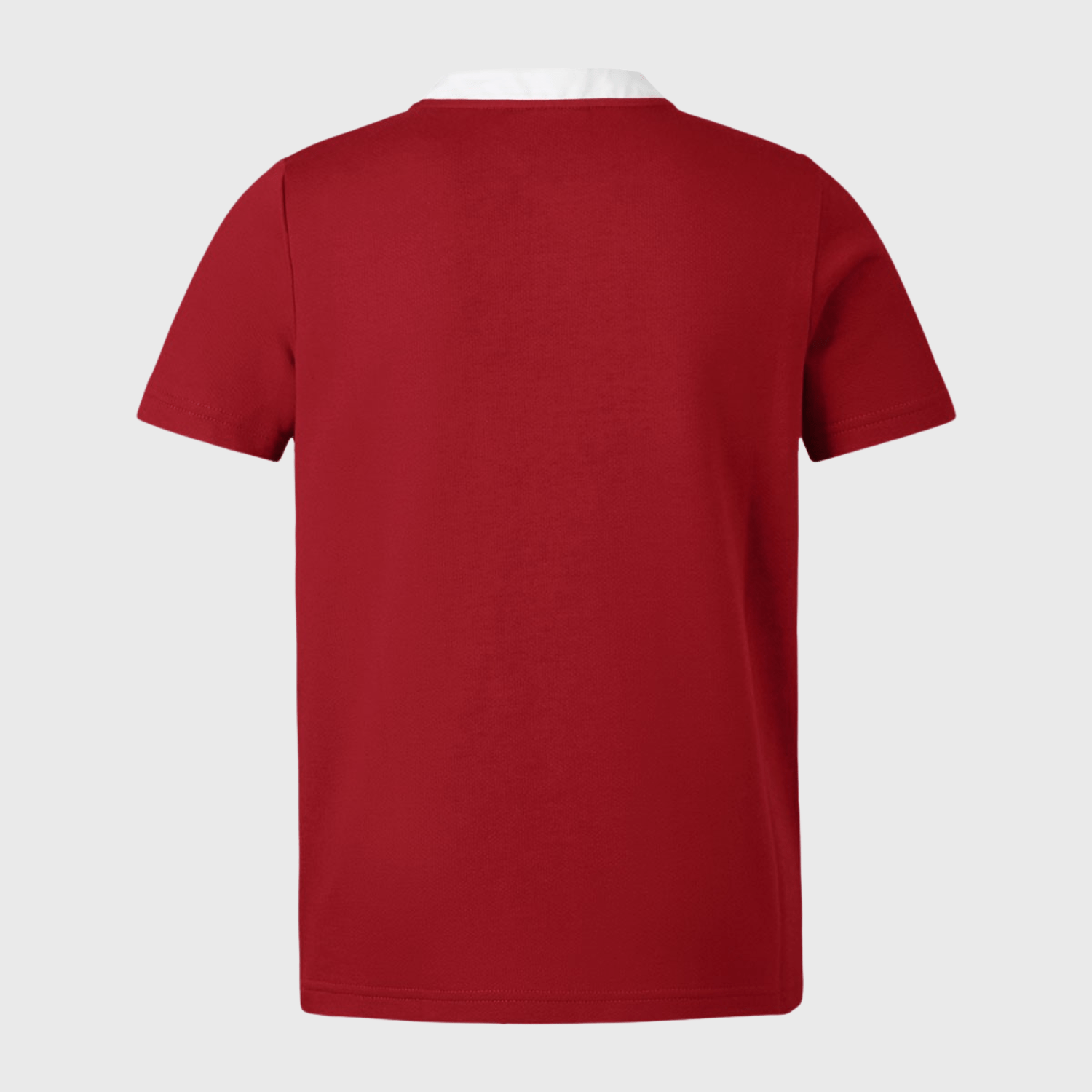British & Irish Lions - SS Classic Jersey - Red - Canterbury - Stash Shop