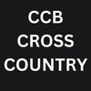 Campbell College - Athletics / XC Hoodie - Stash inc. - Stash Shop