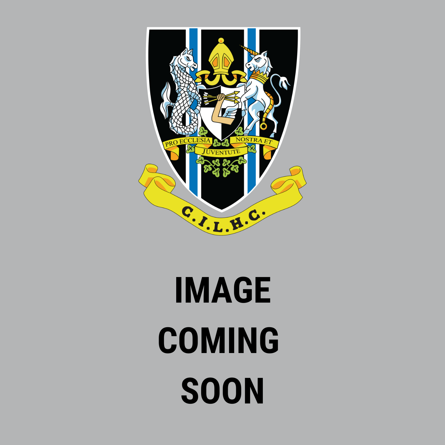 CI Ladies Hockey Club - Club Sock - Stash Inc. - Stash Shop