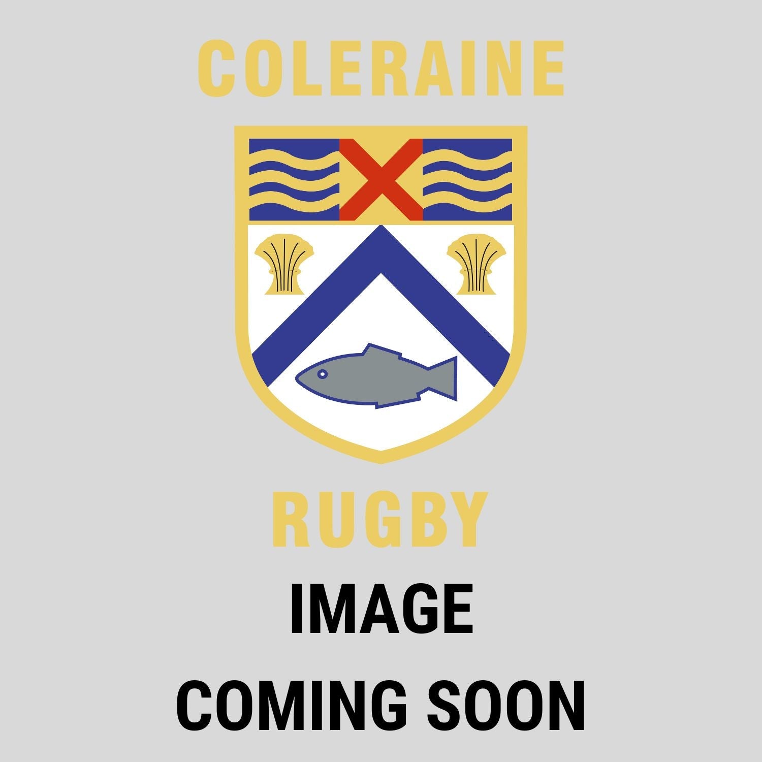 Coleraine Rugby Club - Ladies Club Training Jersey - Canterbury - Stash Shop