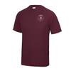 Lurgan Junior High School House Tee - Ferris