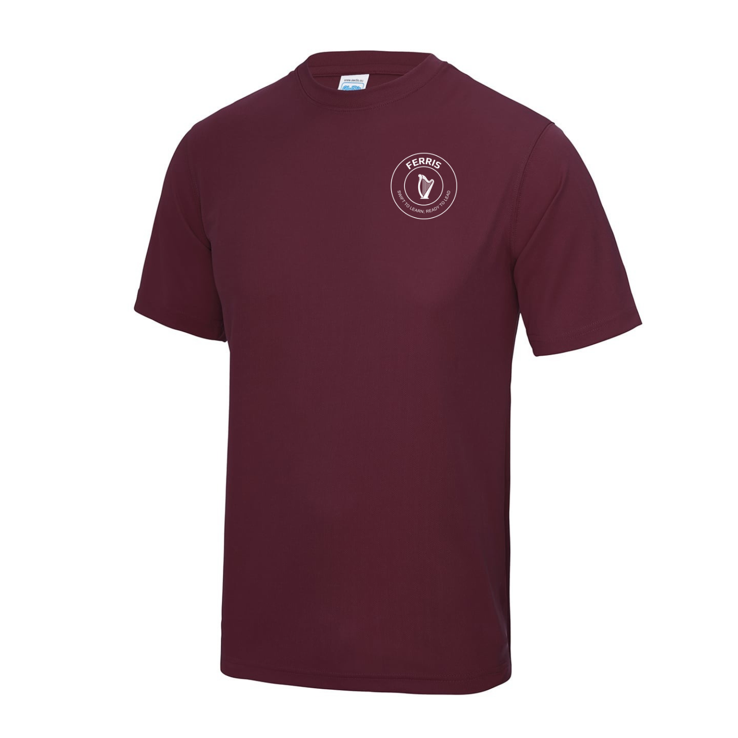 Lurgan Junior High School House Tee - Ferris