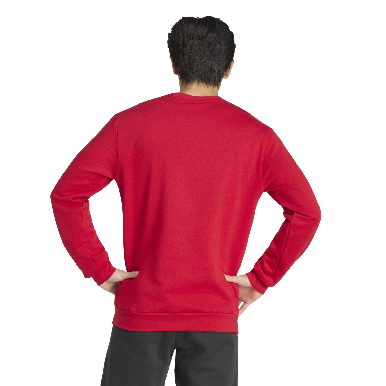 Midleton Rugby Club - Core 26 Cotton Sweatshirt - Red -adidas- Stash Shop