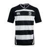 Old Belvedere Rugby Club - Hooped Training Jersey - Canterbury - Stash Shop