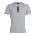 QUB Rugby - Lions Legends Range Tee - Grey - Canterbury - Stash Shop