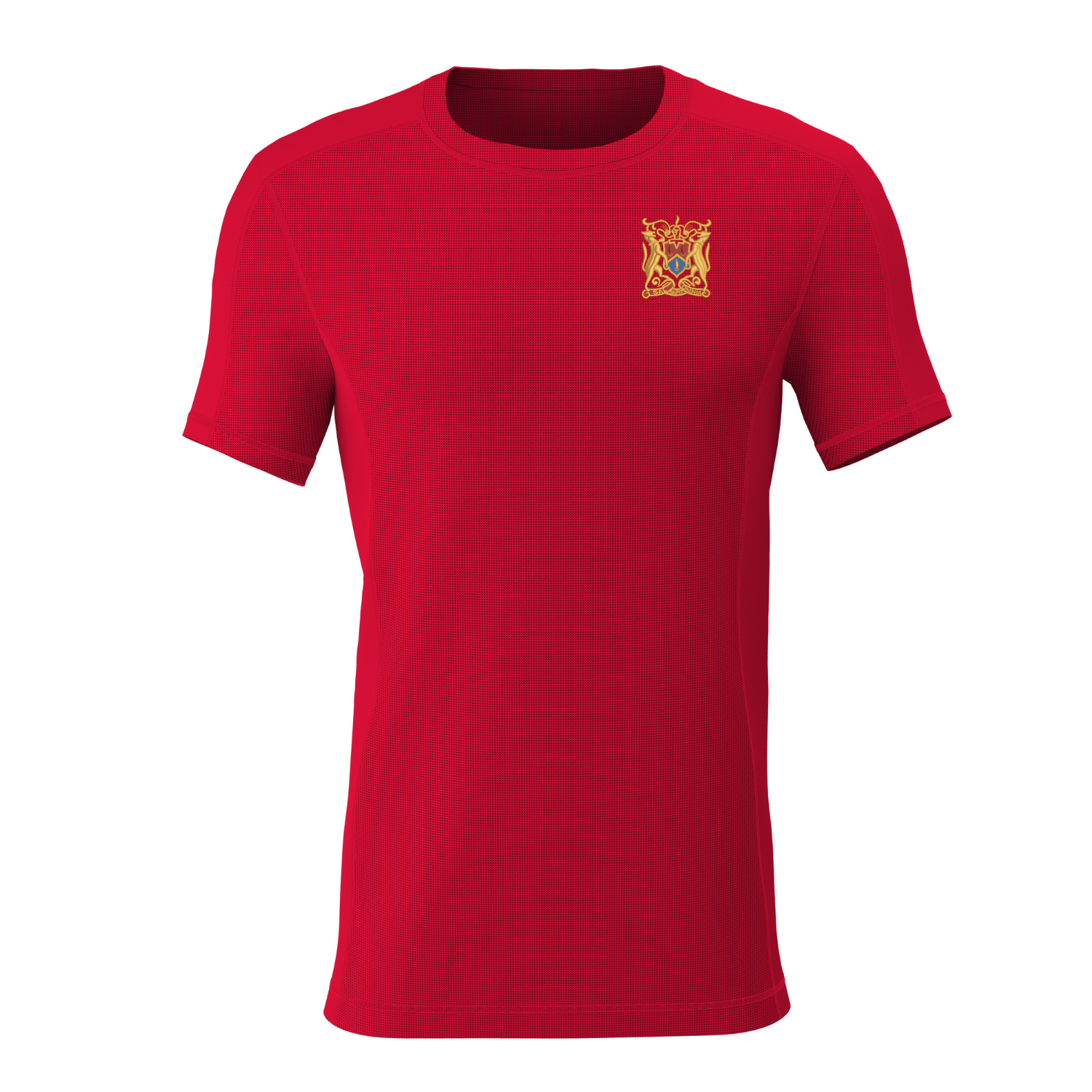 Rainey Endowed School - PE T-Shirt - Red ( Non-brand)