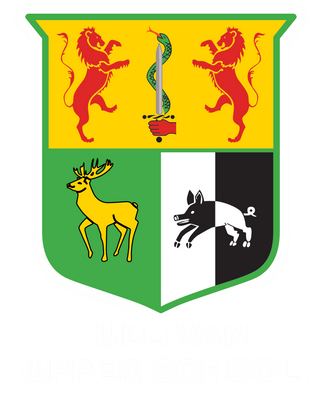 Sullivan Upper Sport logo