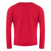 Hazelbank Primary School Jumper