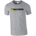 Ballymena Rugby Club - Junior Cotton Logo Tee Grey - Stash Inc. - Stash Shop