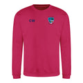 Ballymoney Hockey Club - Sweatshirt - Stash Inc. - Stash Shop