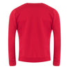 Hazelbank Primary School Jumper - Stash Inc. - Stash Shop